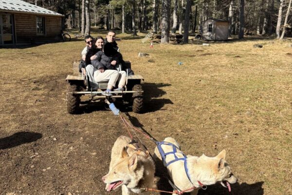 cani rando camino