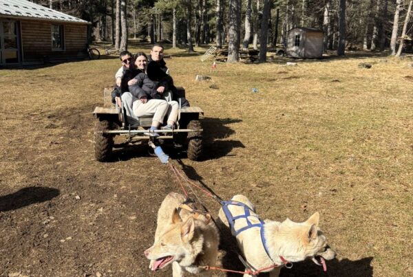 cani rando camino